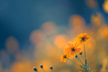 【奔驰s450价格,奔驰s450价格新款】