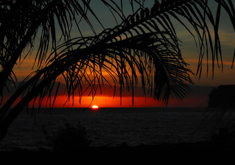 a1能开什么车型/a1开什么车型有什么规定