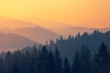 江苏一地3天内阳性感染者破百/江苏 阳性