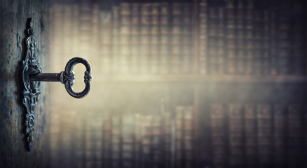 特斯拉x价格/特斯拉x价格走向