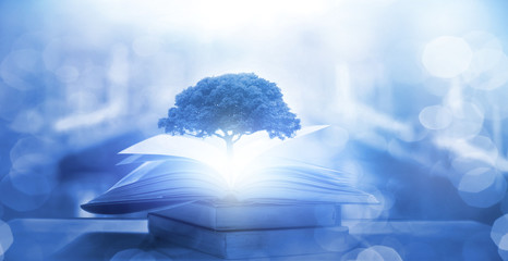 特斯拉x价格/特斯拉x价格走向