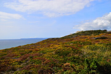 a1能开什么车型/a1开什么车型有什么规定