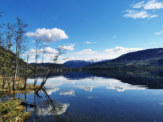 辽宁丹东77个小区封闭管理(丹东市小区)