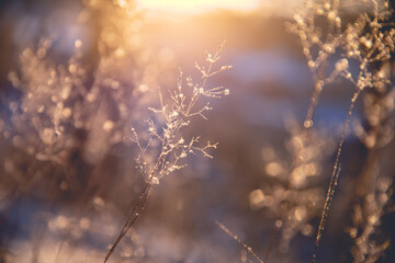 a1能开什么车型/a1开什么车型有什么规定