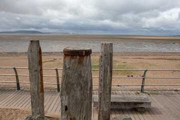 特斯拉x价格/特斯拉x价格走向