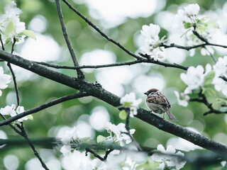 浦东疫情最新情况(浦东浦东疫情)