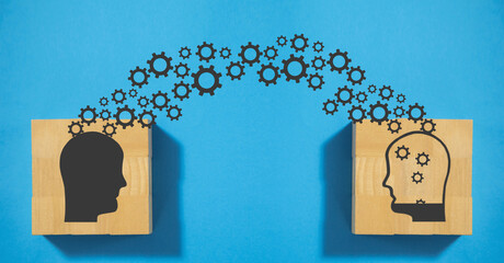 特斯拉x价格/特斯拉x价格走向