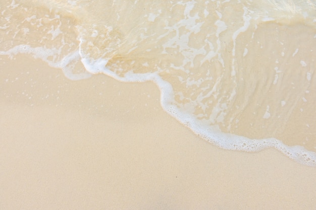 【湖北新增本土确诊病例9例,湖北新增确诊病例2987例】