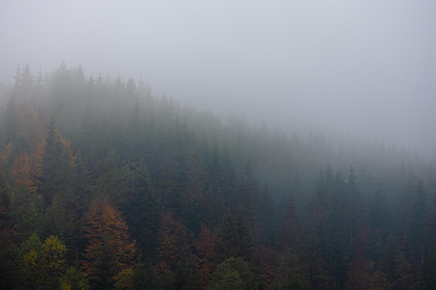 a1能开什么车型/a1开什么车型有什么规定