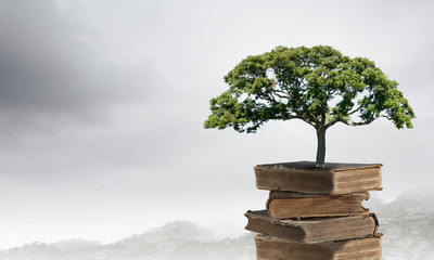 特斯拉x价格/特斯拉x价格走向