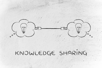 a1能开什么车型/a1开什么车型有什么规定