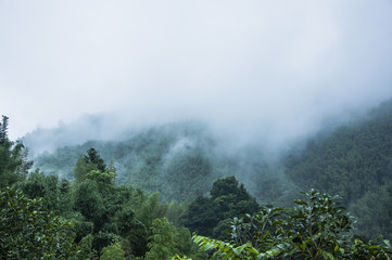 浦东疫情最新情况(浦东浦东疫情)
